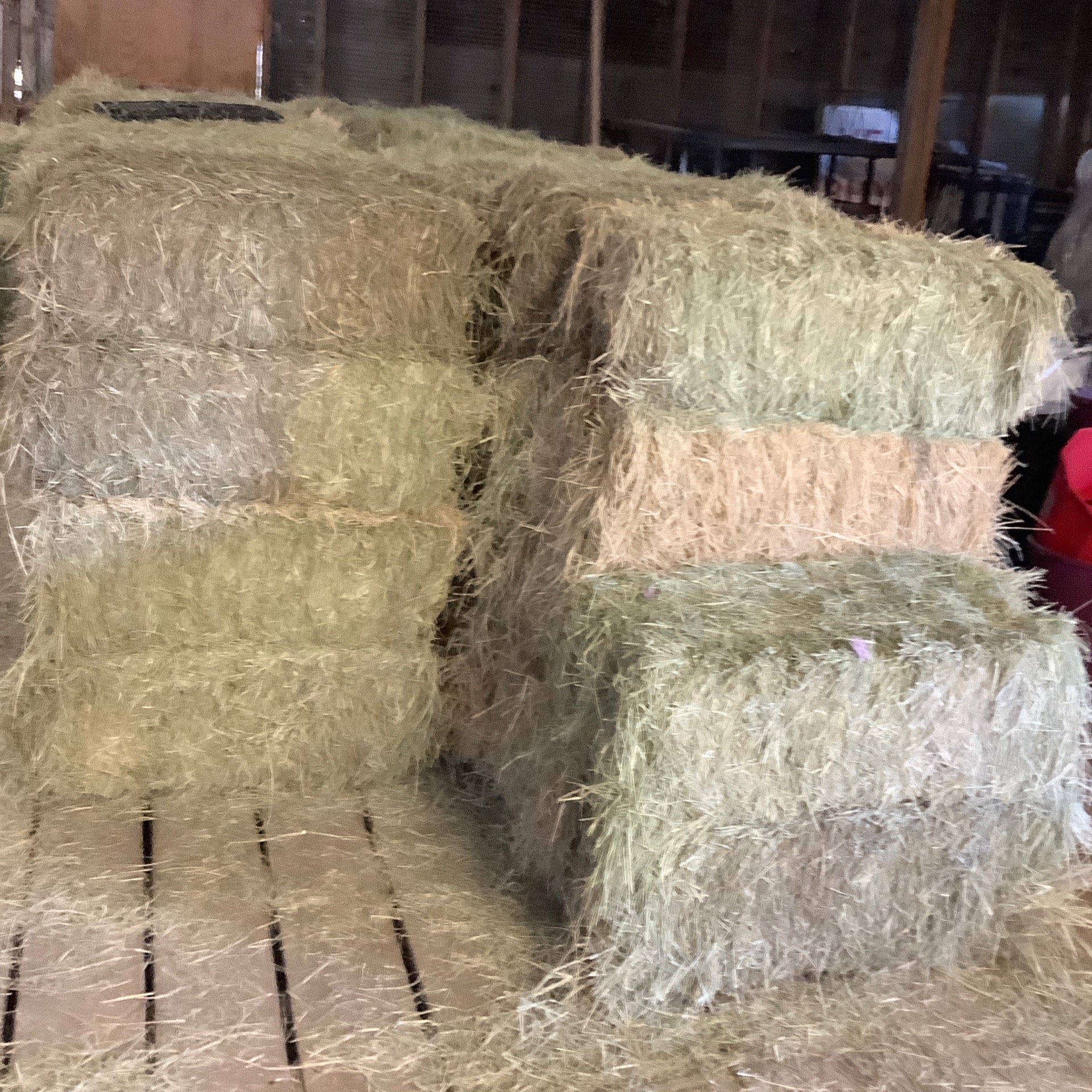 string coastal hay bales Mineola Feed Seed