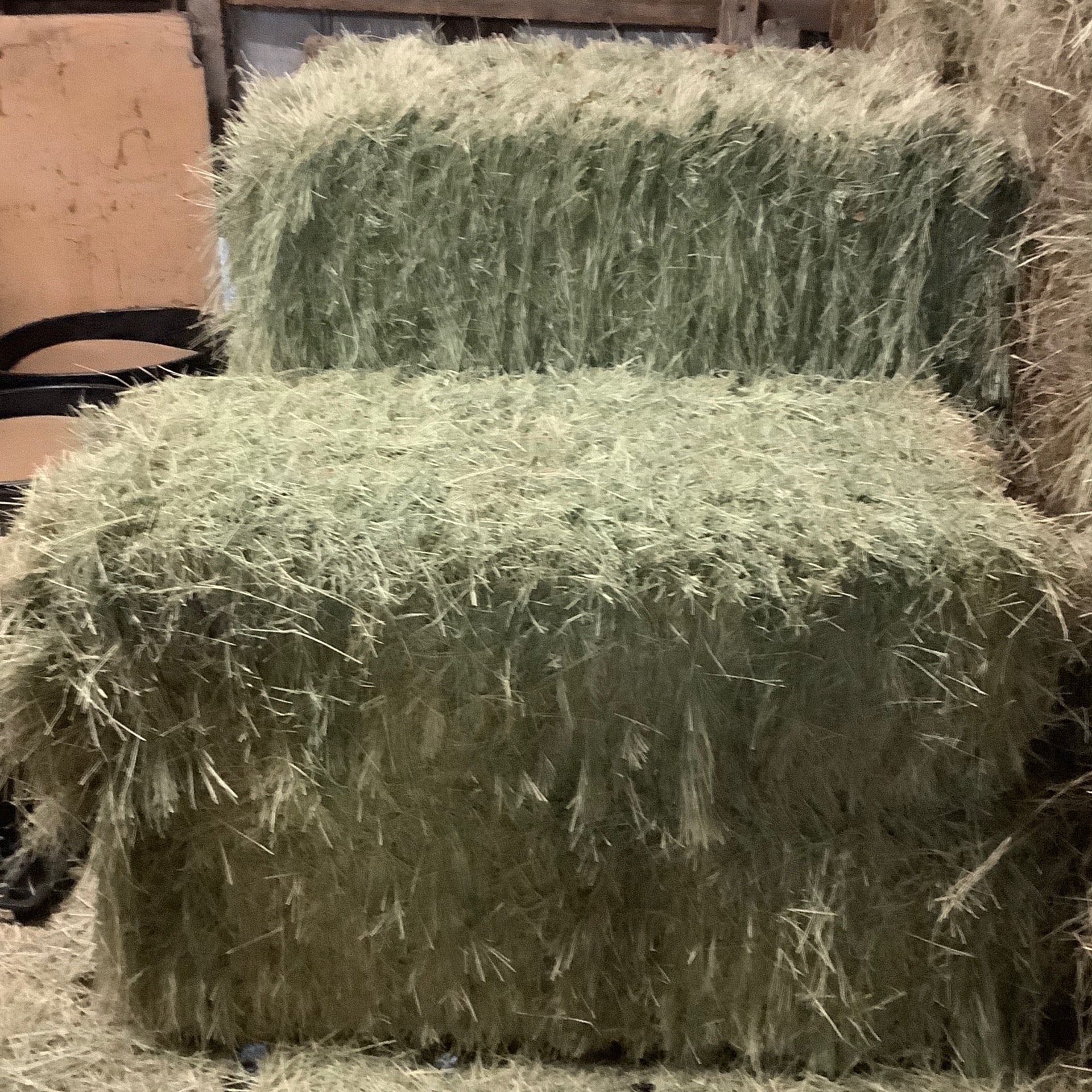 string coastal hay bales Mineola Feed Seed